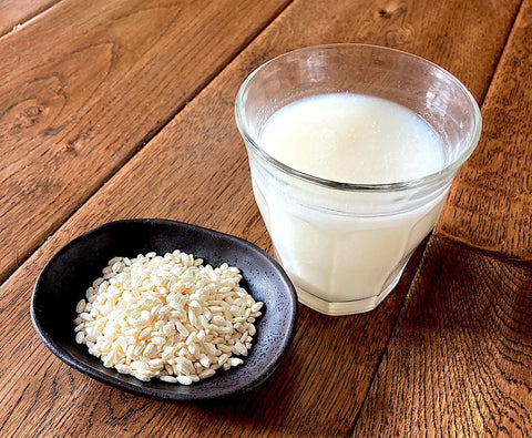 From Iris Ohyama, a yogurt maker that can also make amazake and