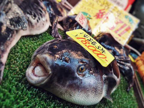 What is fugu?