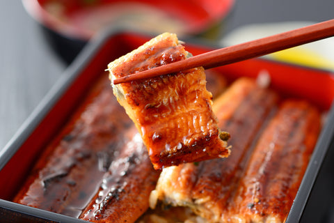 unagi close up