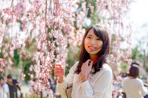 Planning Your Sakura Adventure: Timing, Bookings, and Tips