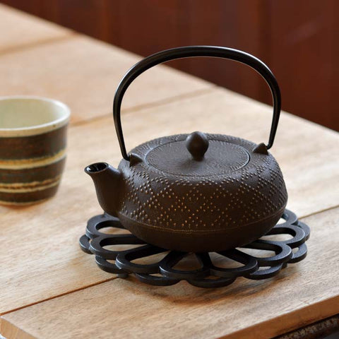 IWACHU Nambu Cast Iron Takoyaki Pan with Wooden Handle