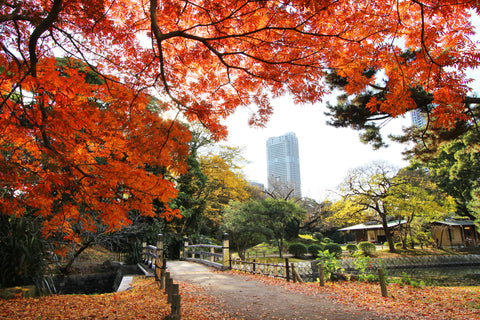 Hama Rikyu Gardens