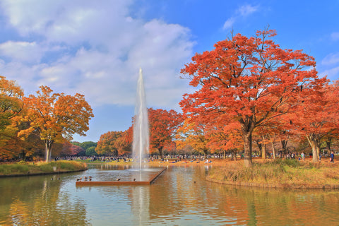 Yoyogi Park