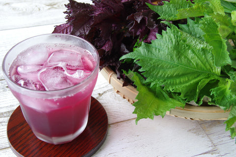 Shiso-Charged Beverages