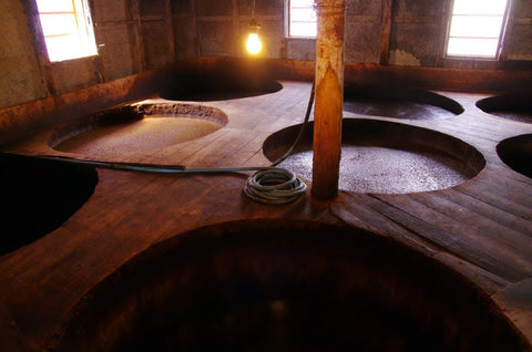 Fermenting koikuchi shoyu in wooden barrels