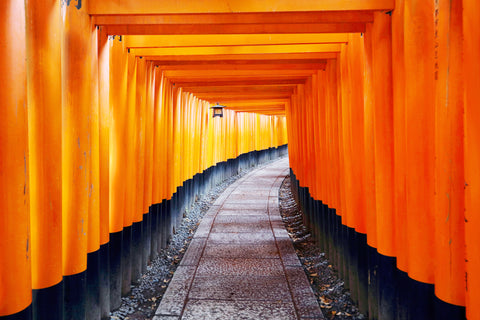 Fushimi inari torii gates in Kyoto
