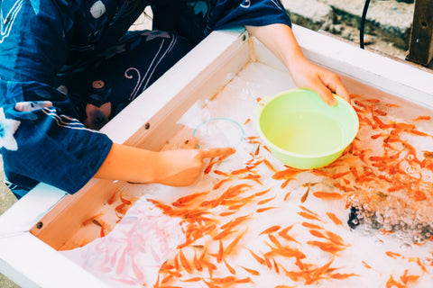 goldfish at a festival