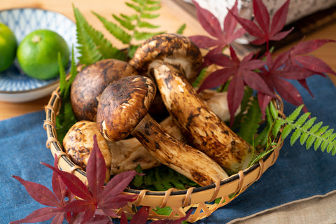 matsutake mushrooms