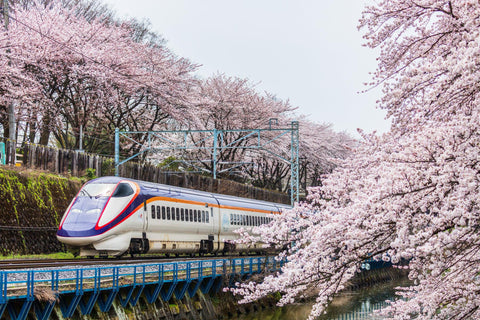 Public Transportation In Japan: Bullet Trains, Local Trains, Buses & More