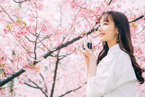 Embracing The Magic Of Sakura & Hanami