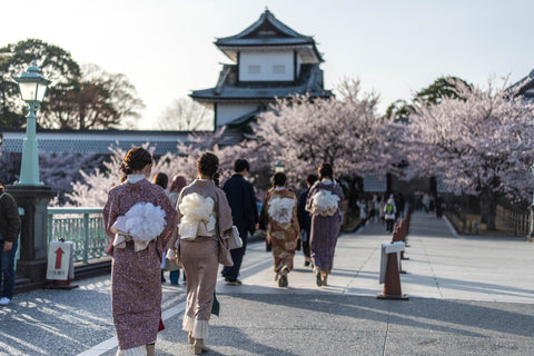 Kanazawa: Hanami in the Hokuriku