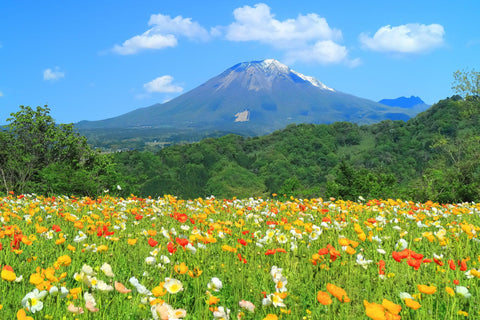 Daisen Oki National Park