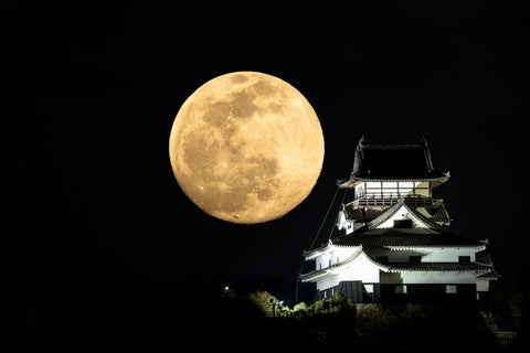 moon and castle