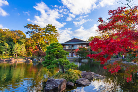 Tokugawaen: Tranquil Beauty Amidst Nature