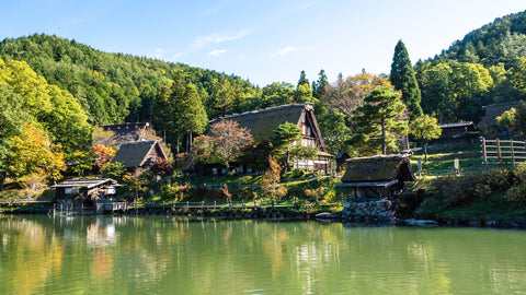 Hida Folk Village