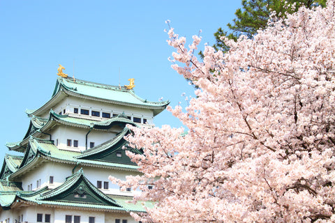 Nagoya Castle: An Updated Icon & City Symbol