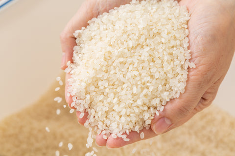 Why Did Rice Become The Staple Food In Japan?