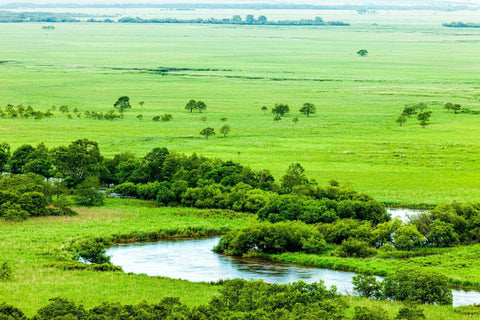 Kushiro Shitsugen National Park