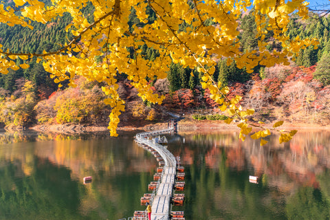 Lake Okutama