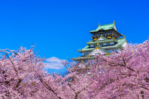 Osaka: Sakura in the “Second City” of Japan