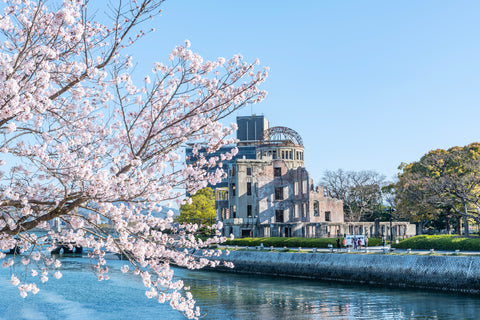 Hiroshima: History as a Backdrop for Hanami