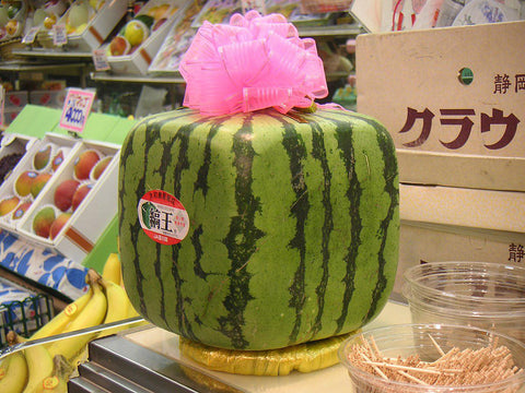 What Is A Japanese Square Watermelon?