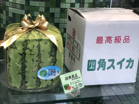 How Much Do Japanese Square Watermelons Cost?