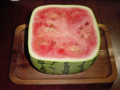 What Do Japanese Square Watermelons Taste Like?