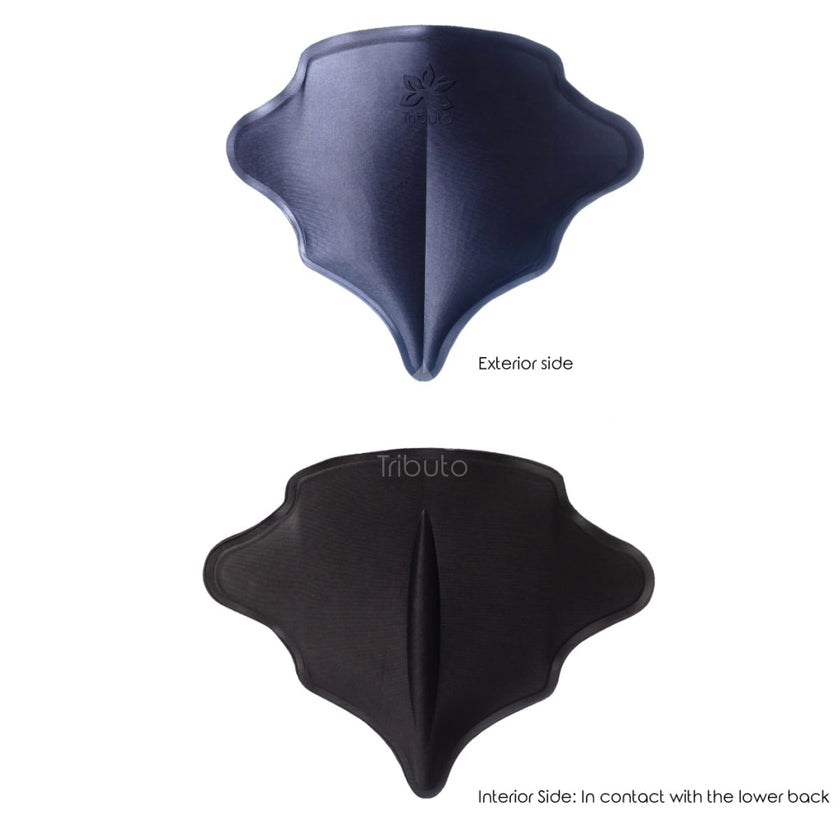 Royal - Back Board Shapewear