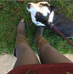 gray tights with burgundy skirt - what to wear with gray tights