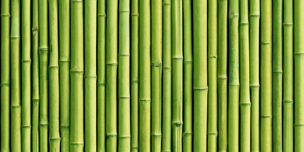 Green Bamboo