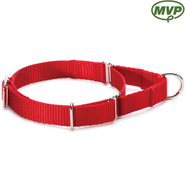 martingale style collar