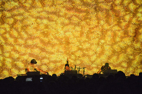 Animal Collective performing Tangerine Reef