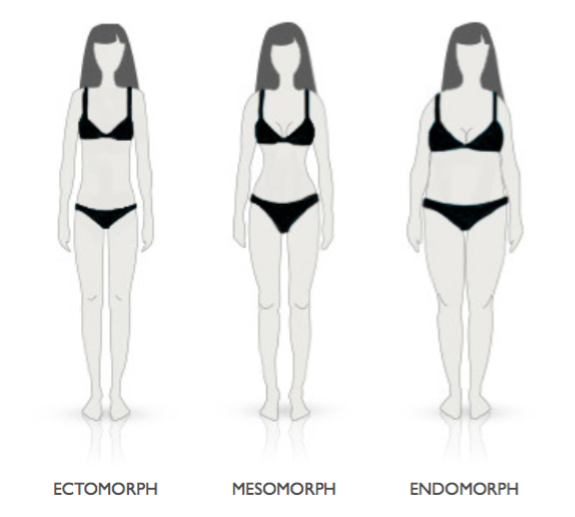 body types ectomorph mesomorph endomorph