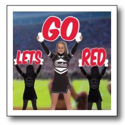 28 Let's Get Loud Handheld Cheer Signs 3pc Team 