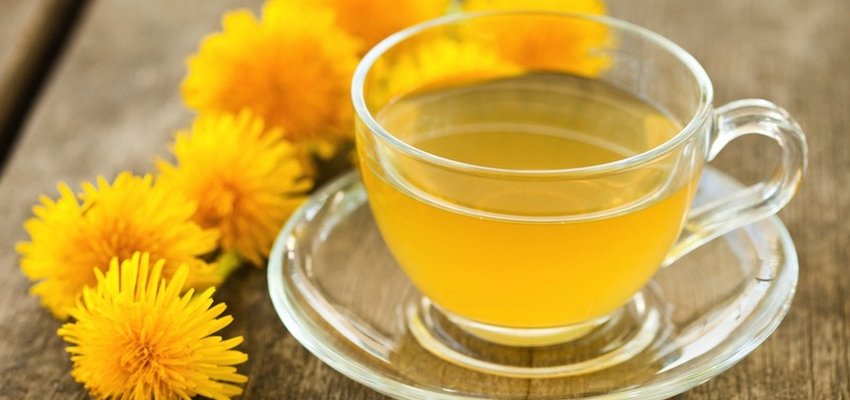 Dandelion-tea