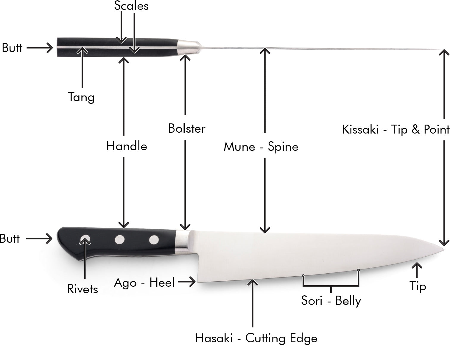 The Parts of a Kitchen Knife