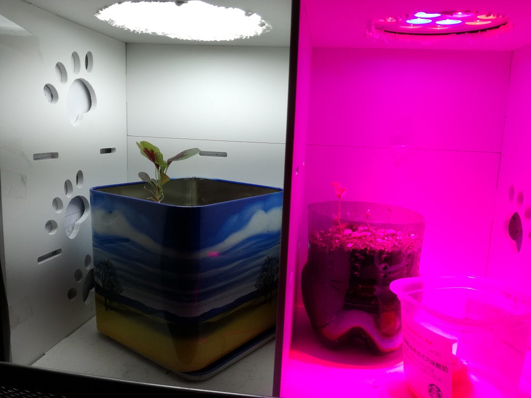 led-grow-light-test