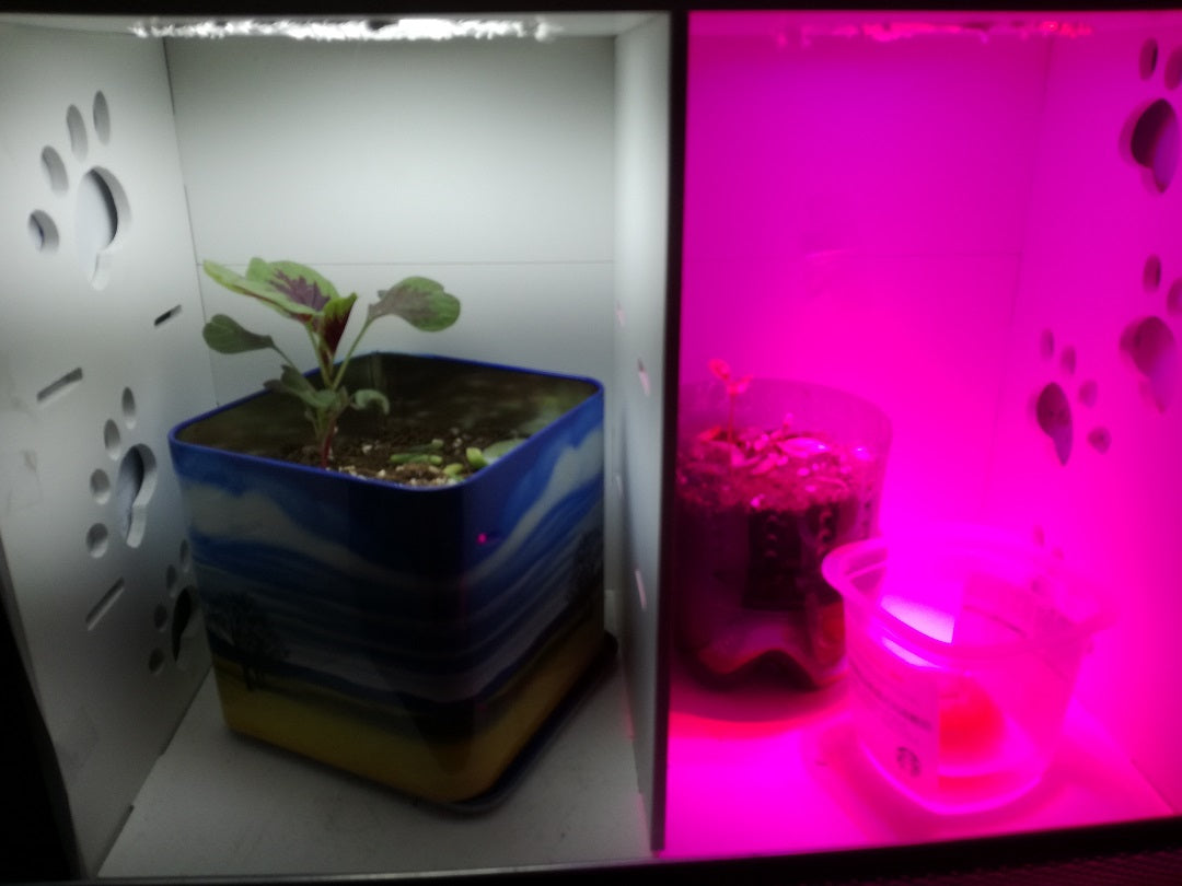 led-grow-light-test