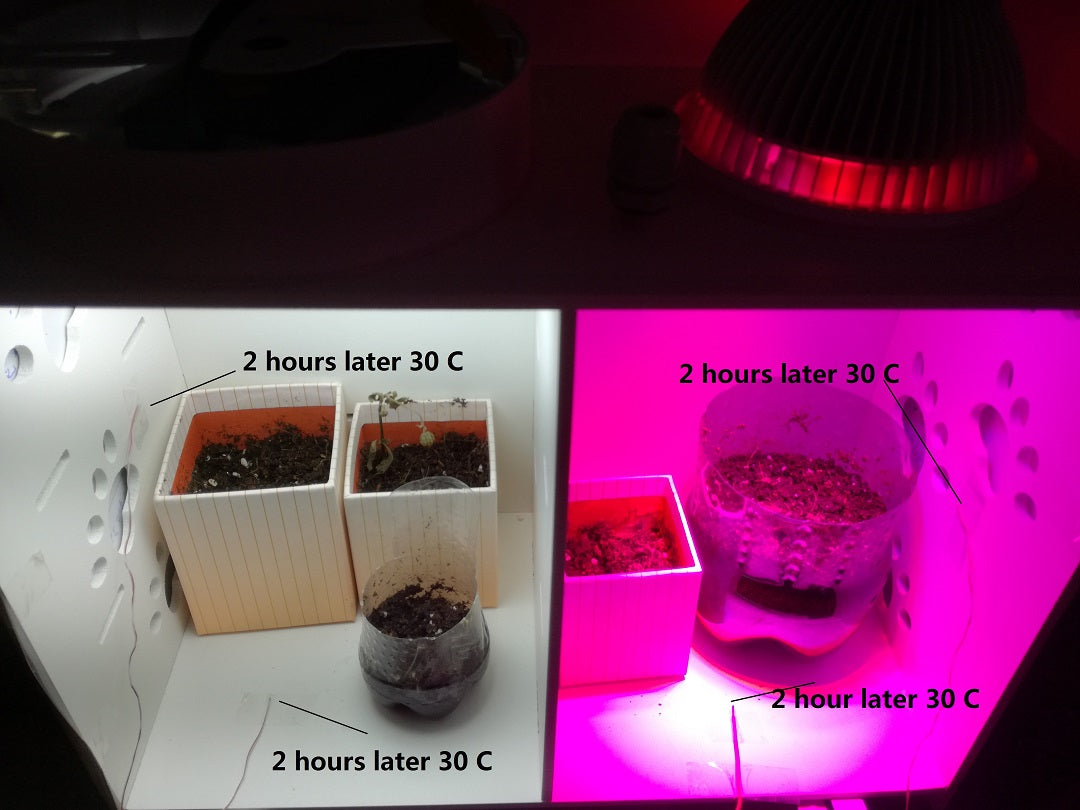 LED-grow-light-test