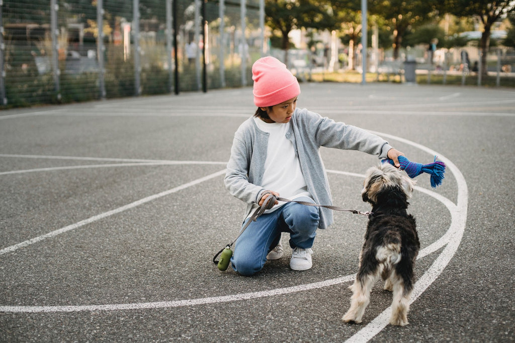 young boy training his dog
