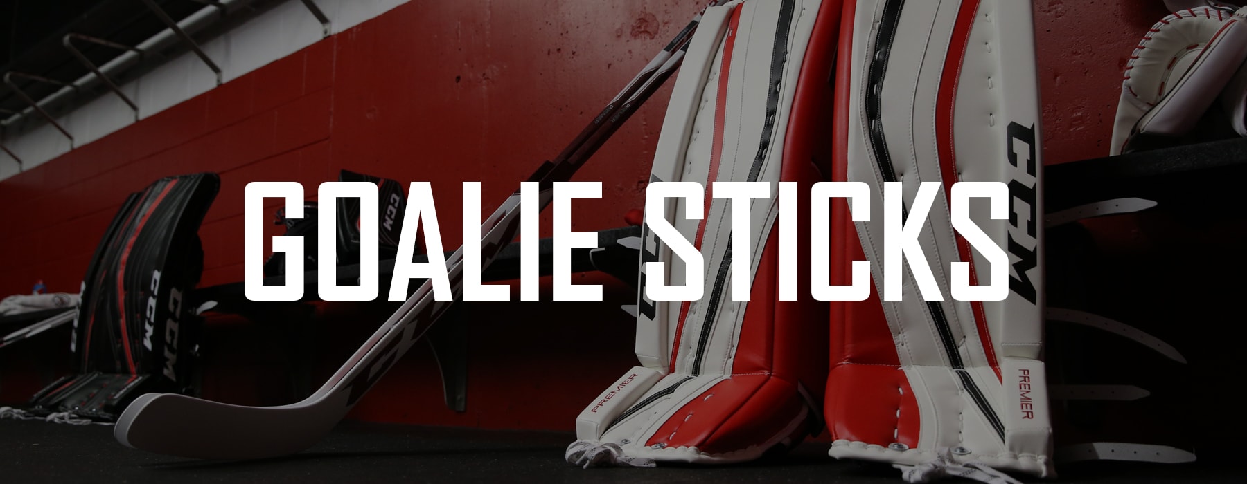 Goalie Sticks