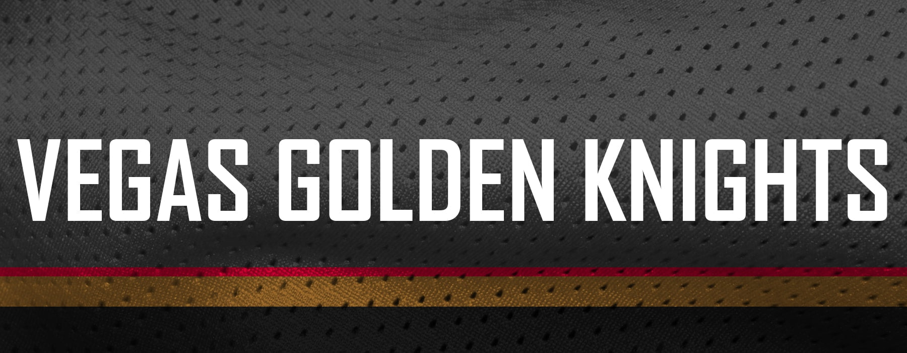 Vegas Golden Knights – Pro Hockey Life
