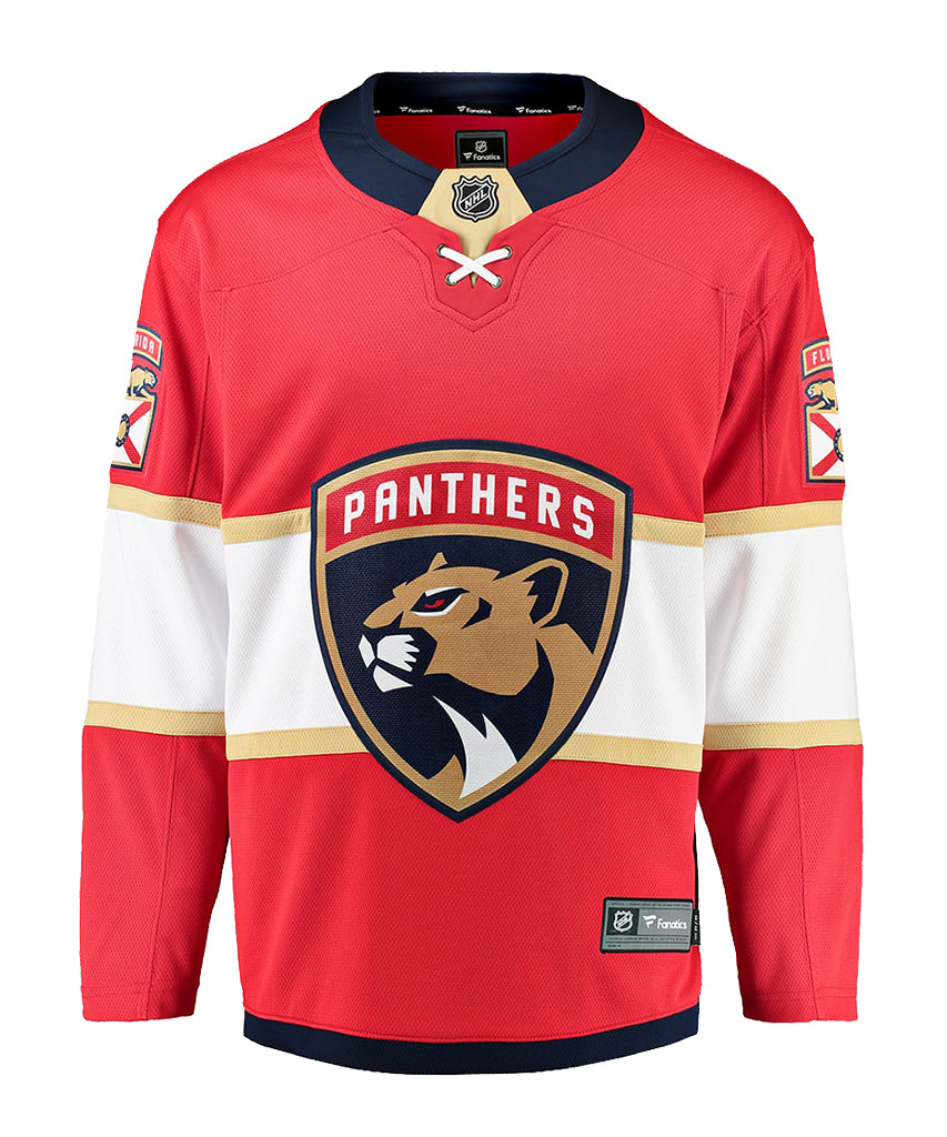 panthers replica jersey