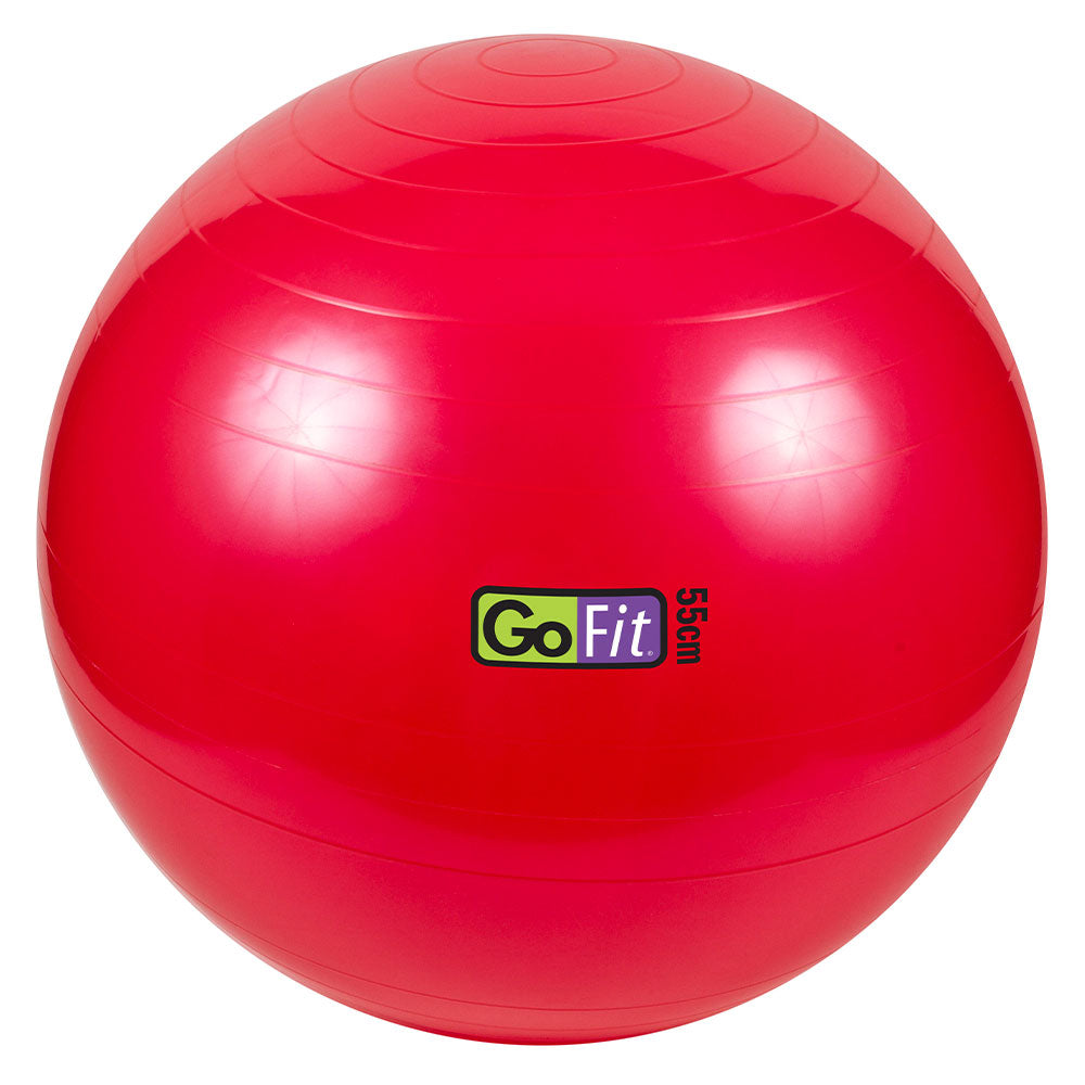 GOFIT EXERCISE BALL WITH PUMP 55CM