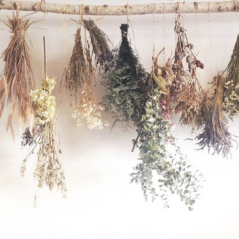 How to Frame Dried Flowers, According to a Pro Florist