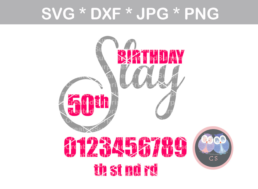 Download Birthday Slay Age Interchangable Numbers Digital Download Svg Dxf Createdsurprises