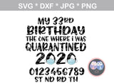 Download My birthday, the one where I was quarantined, mask, funny ...