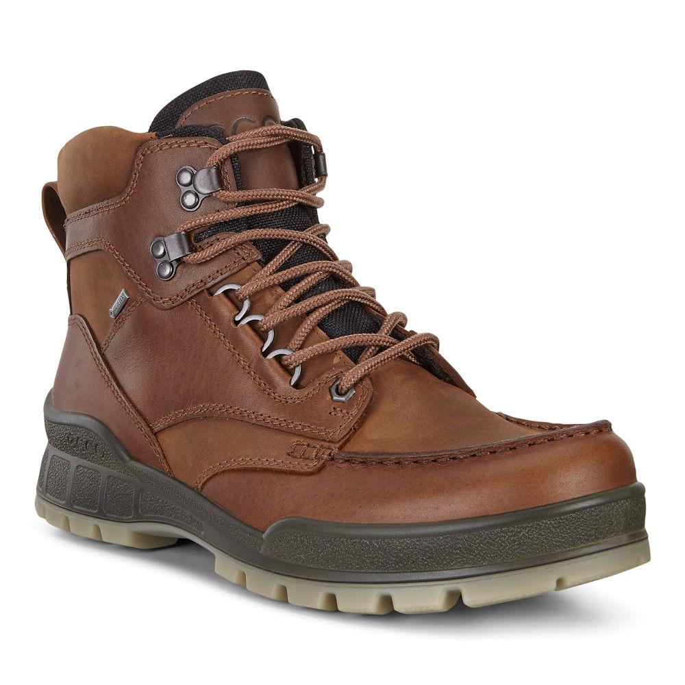 ECCO Men's 831704 Track 25 Hi GORE-TEX Brown Leather