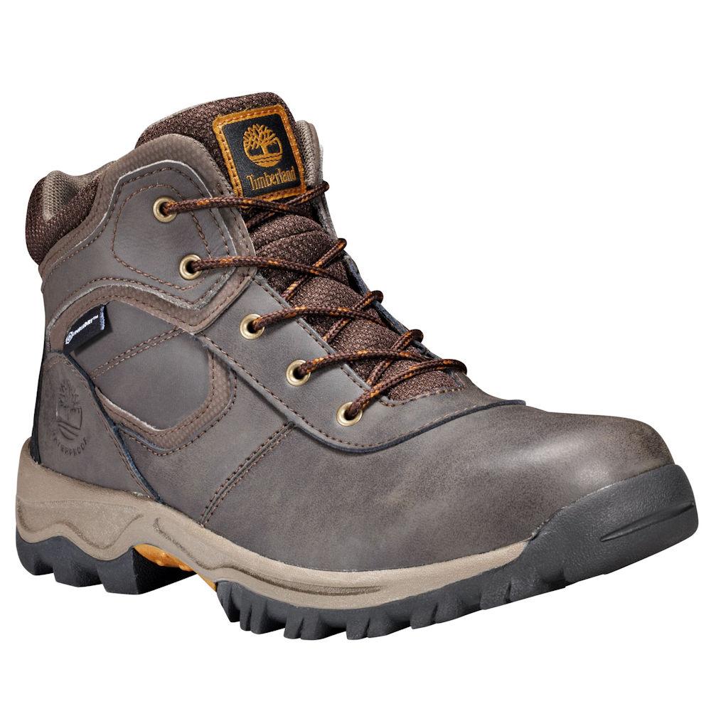 Timberland Boy's Mt. Maddsen Waterproof Brown